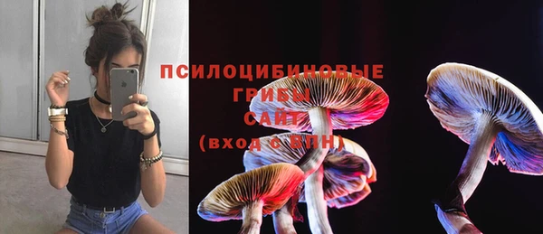 а пвп мука Касимов