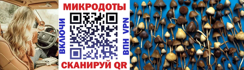 Галлюциногенные грибы Psilocybine cubensis  даркнет сайт  Ачинск 